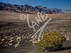CALIFORNIA Death Valley